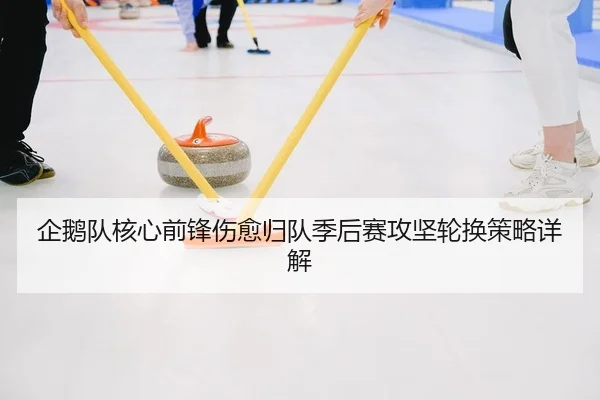 企鹅队核心前锋伤愈归队季后赛攻坚轮换策略详解
